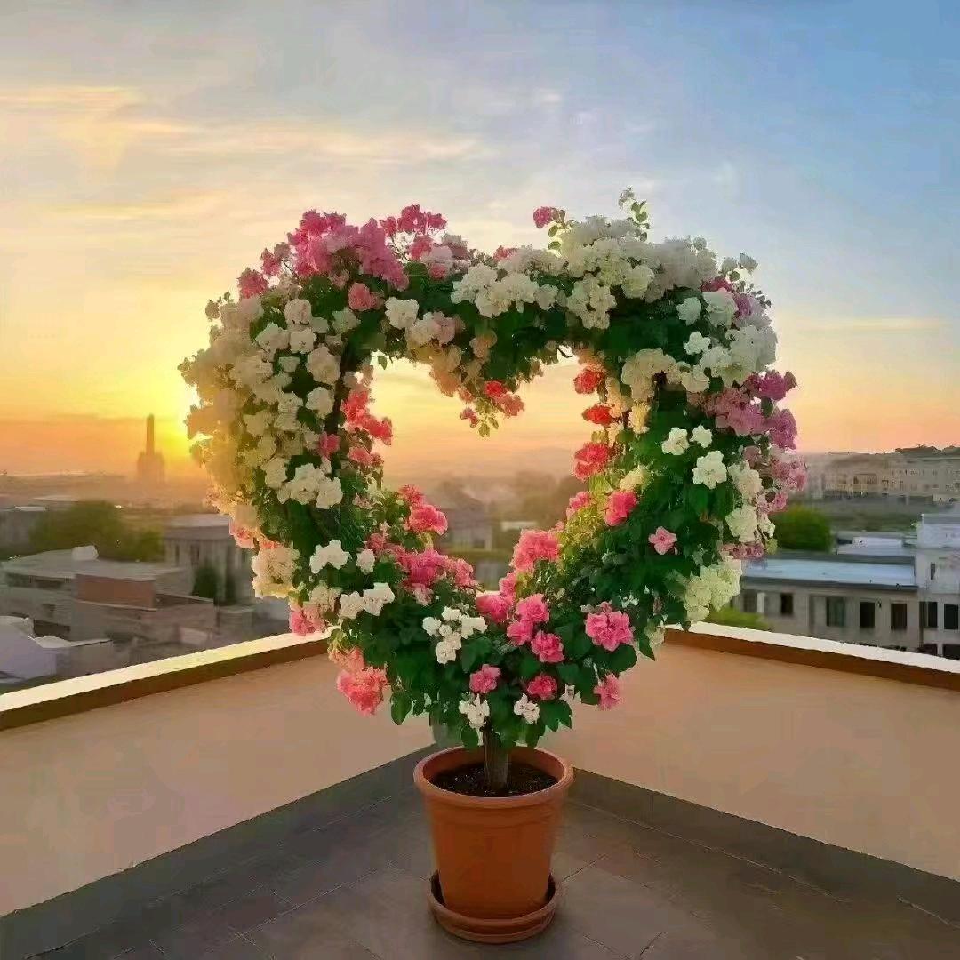 ❣️💙💚💛🧡💜