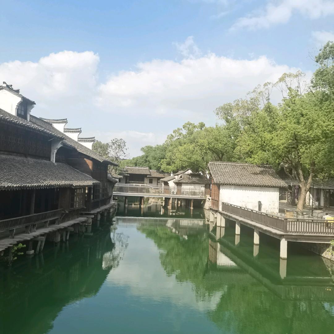 忆往的美