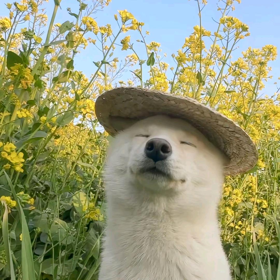 Yudaiiiii