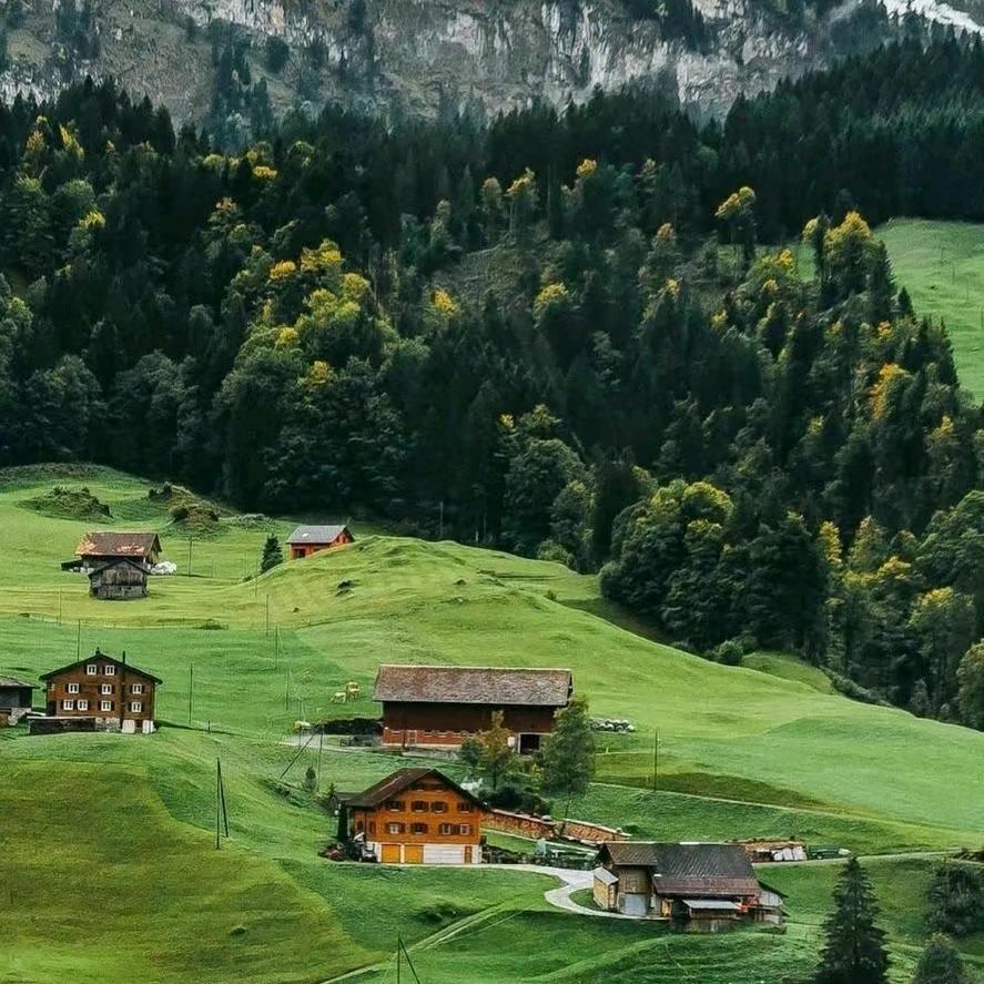 换成我喜欢的绿色