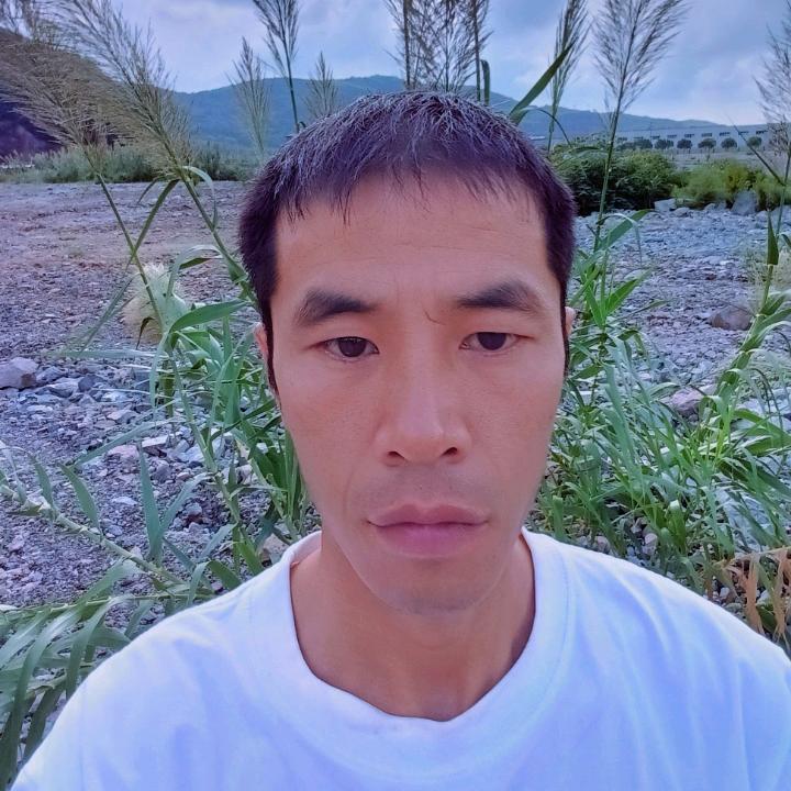 飞龙（早上6：50直播）