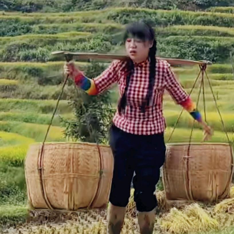 农村人小美