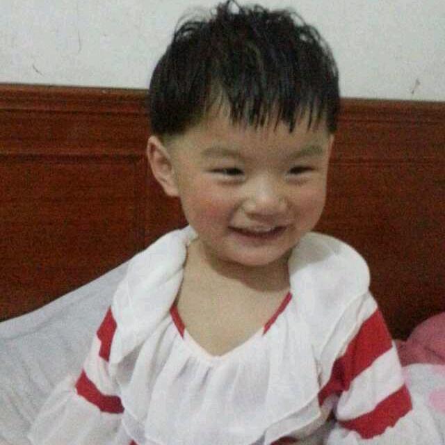 杨
