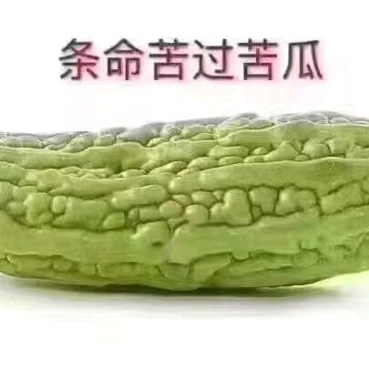 💗᭄: :ღ᭄ꫛ傻এۣۖิ丫头?