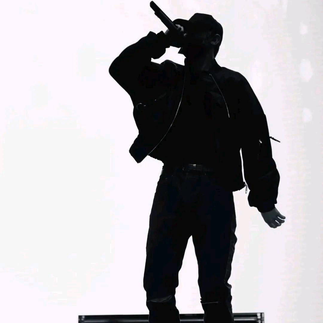 龙