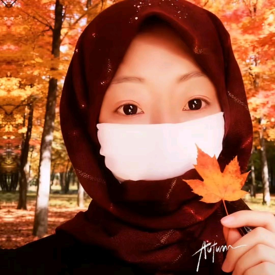 🍁🍁