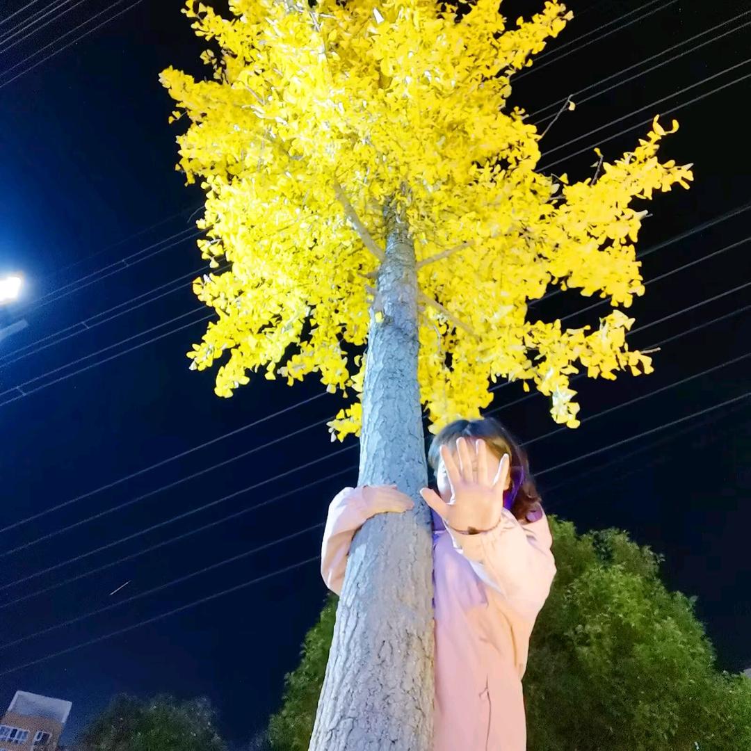 不简丹