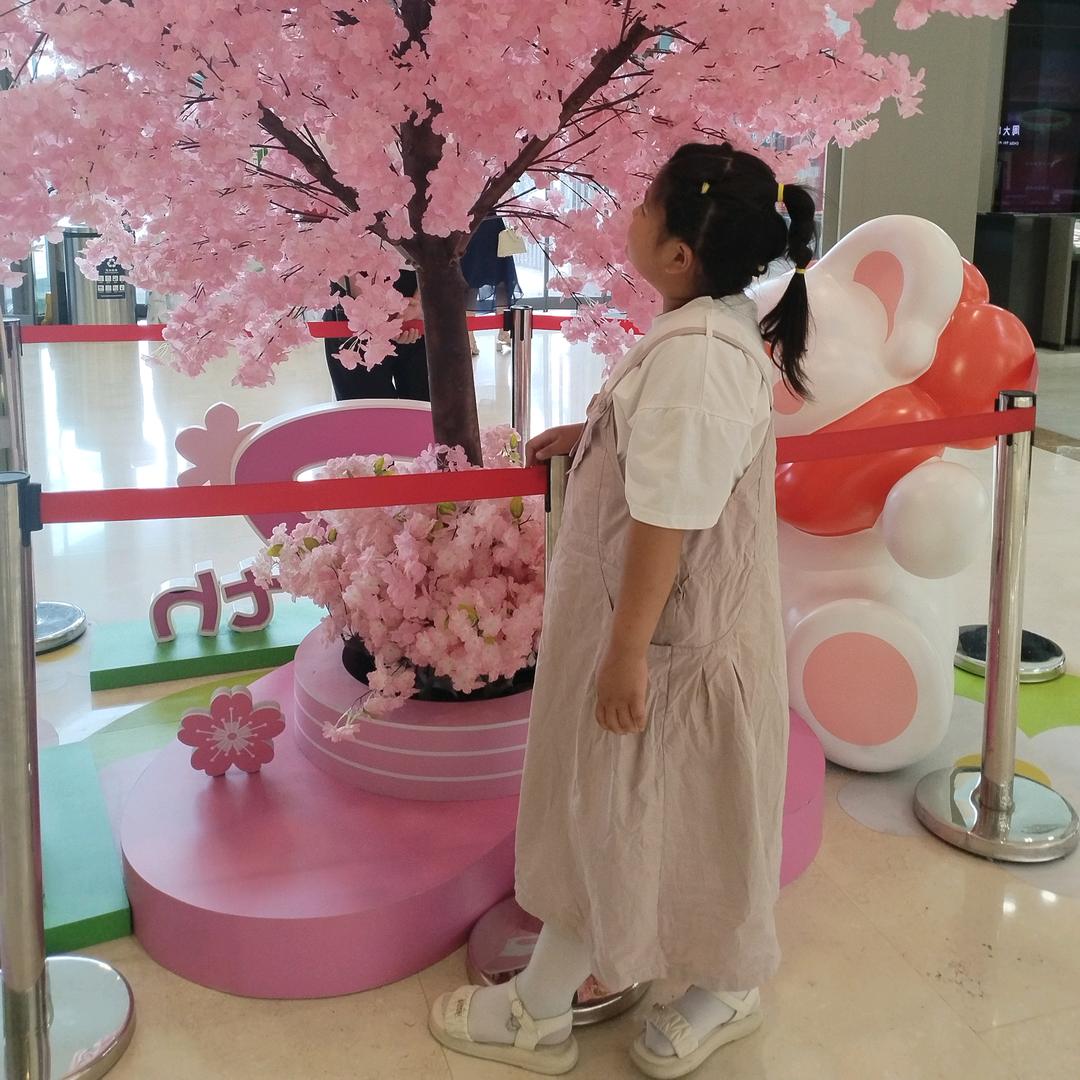 龙凤敏敏