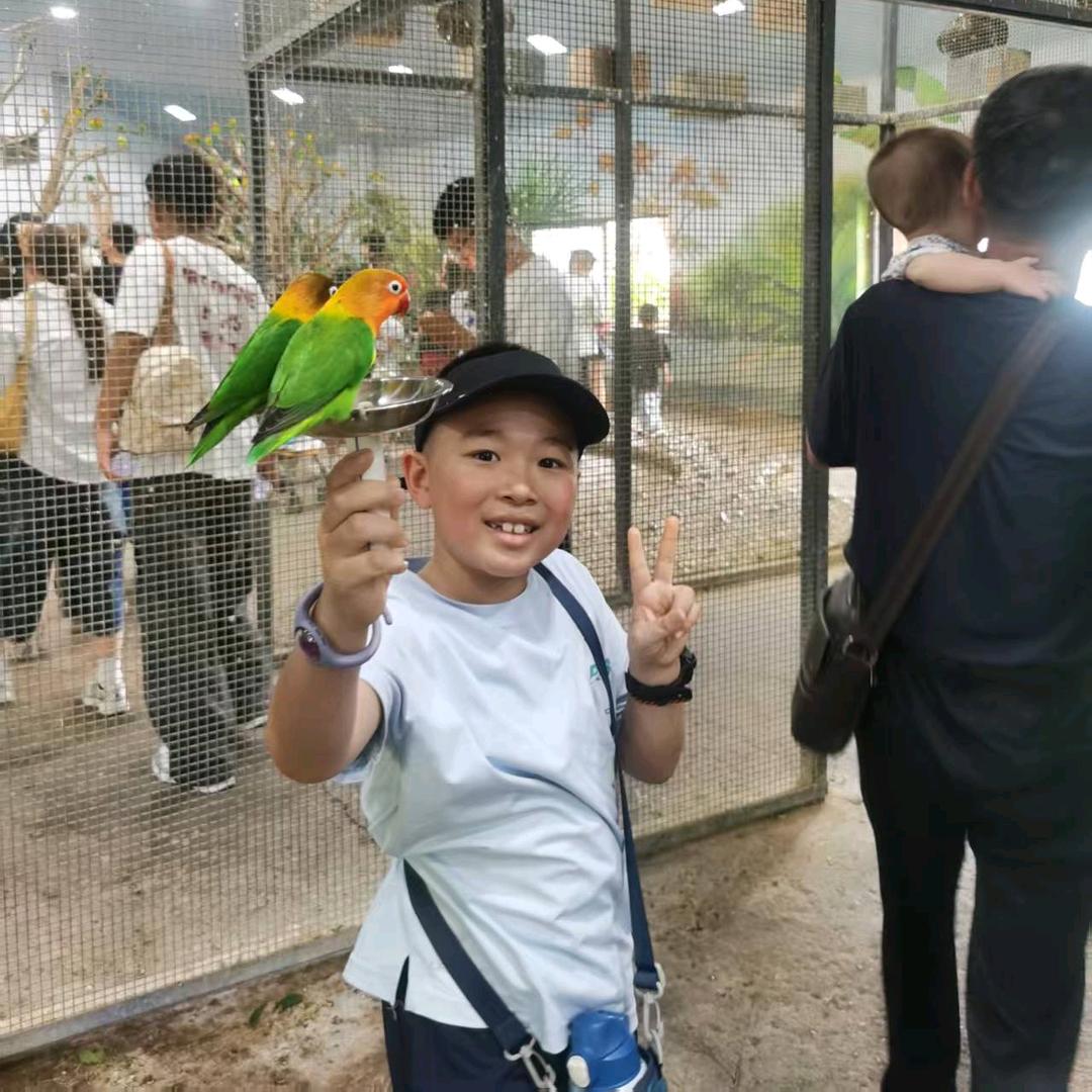 团子爸爸