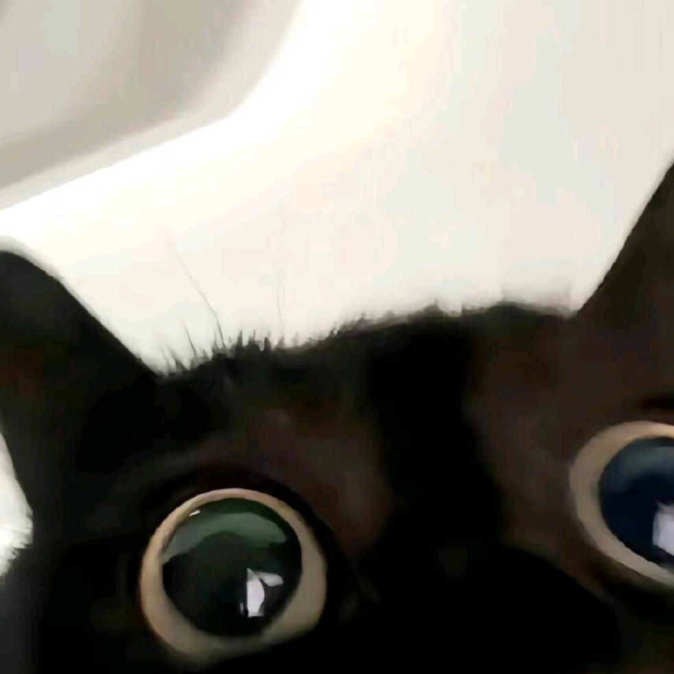 妻子给我生了个孩子但是我是处男