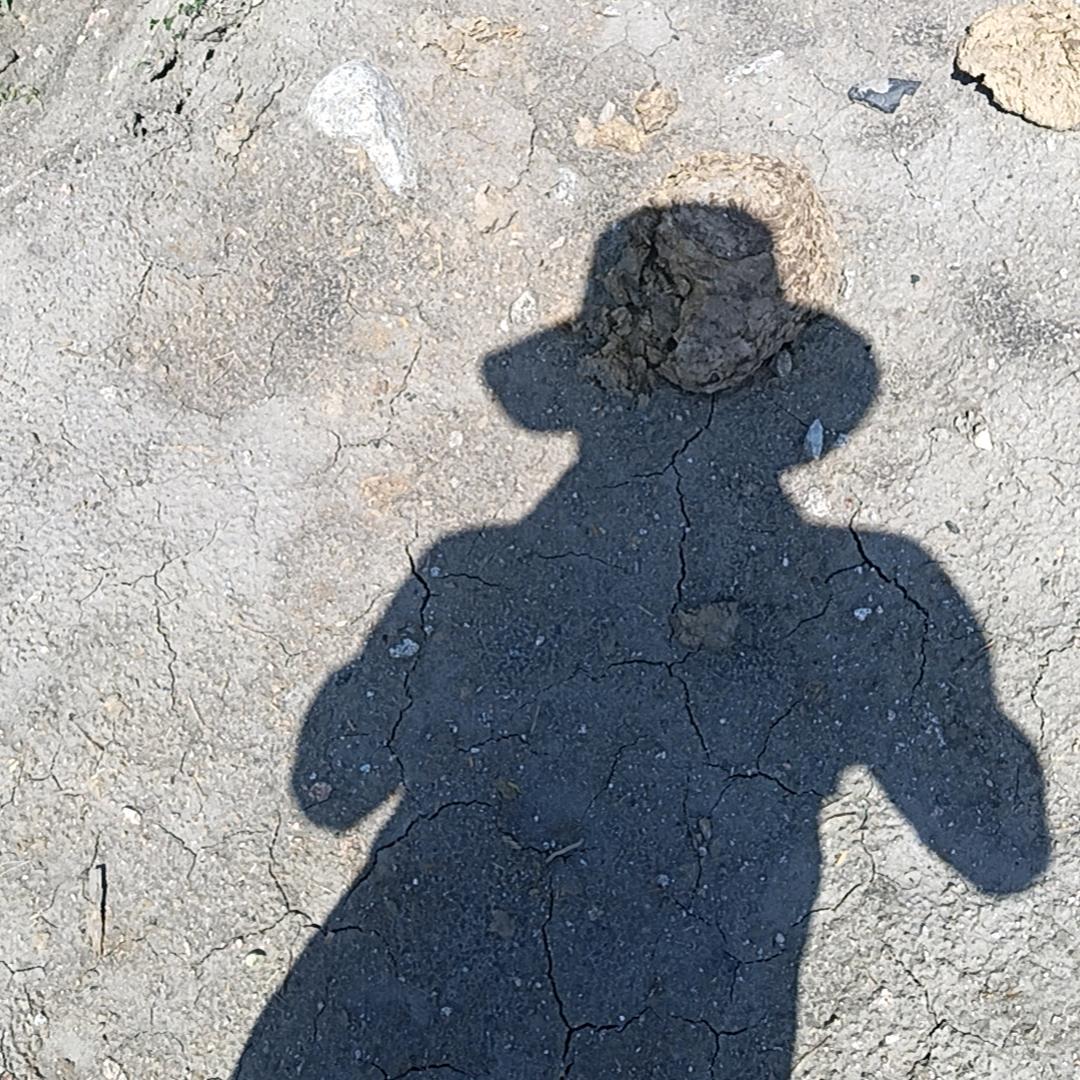 浪子🔛🔜🇨🇳🇨🇳