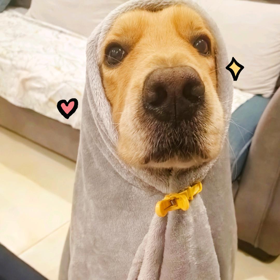 ℳঞ兜里໊🌿半颗糖🍬: ℳ