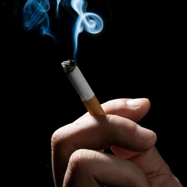 ⁵²⁰: 💋ღ᭄余生独行ღ᭄⁵²⁰