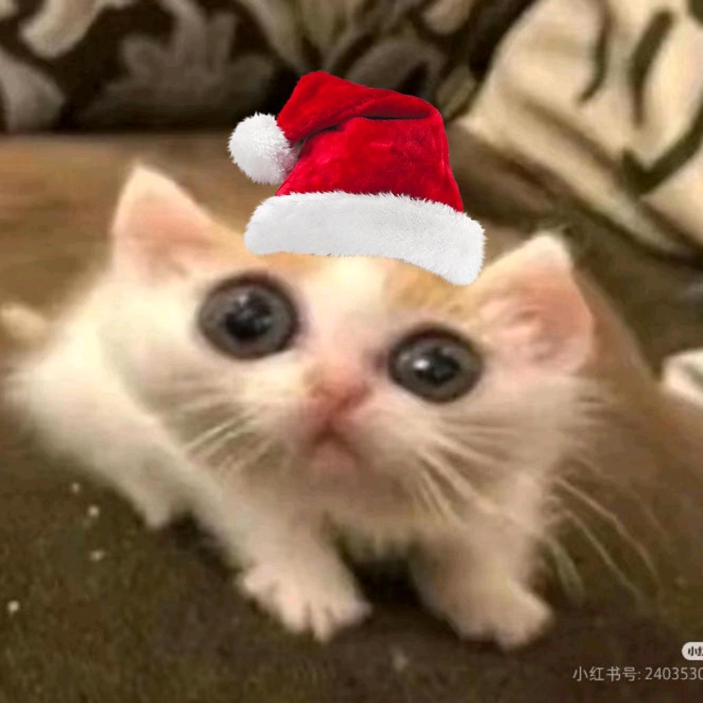 我天，是喵内噶！（原神人版）