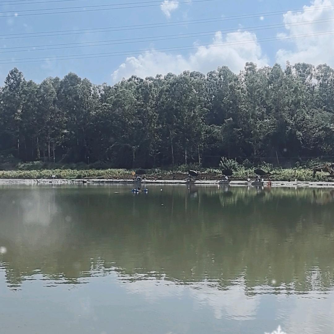 川渔垂钓基地