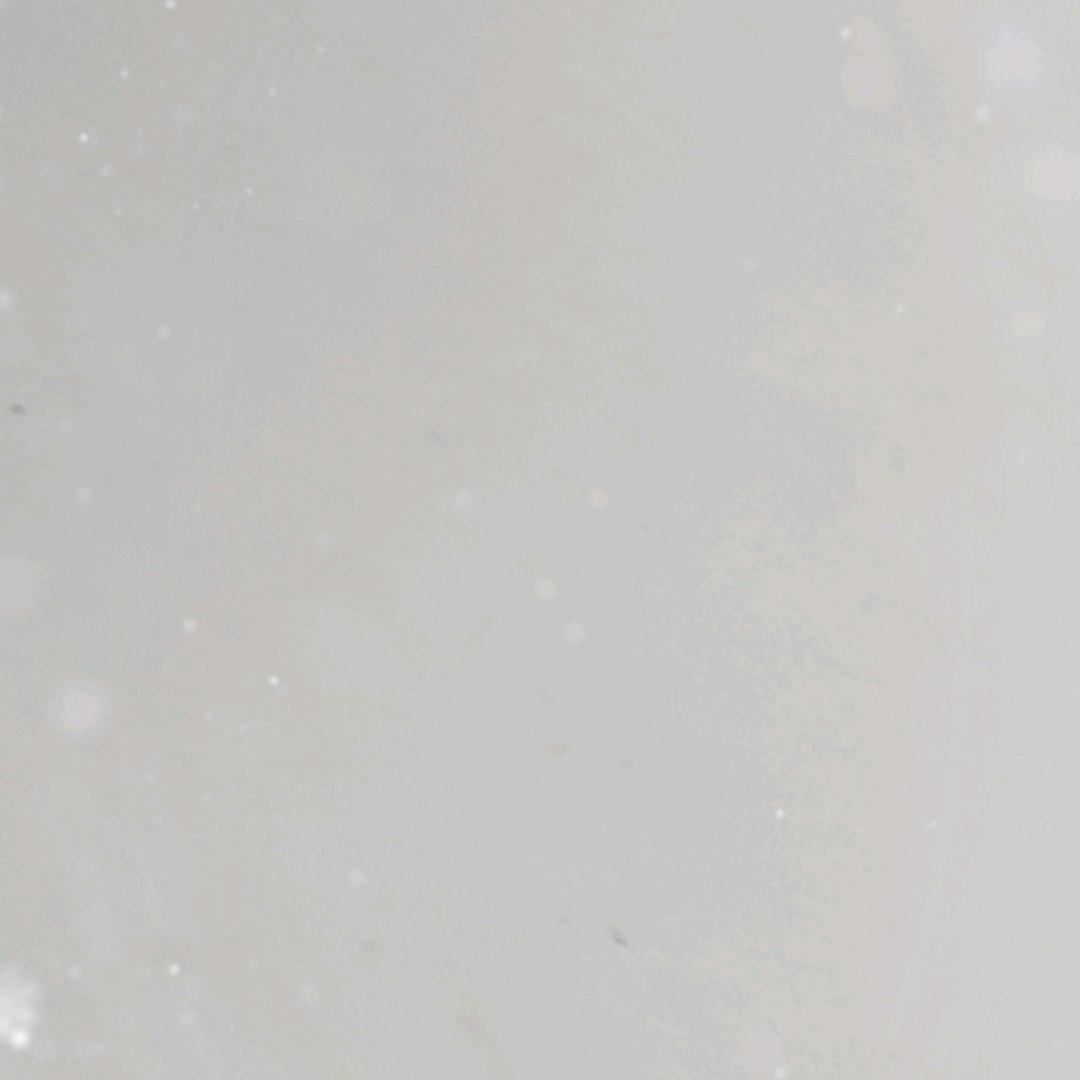 ぃ樊星ゞ