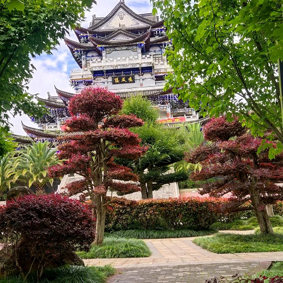 爱与愁