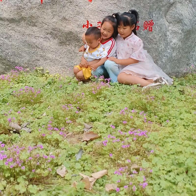 🌸鼎艺装饰🌸