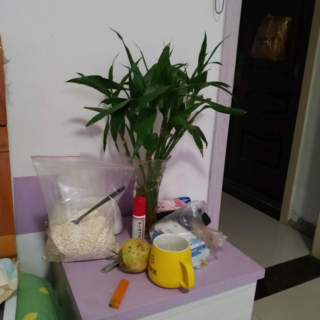 雪丽甄选优品