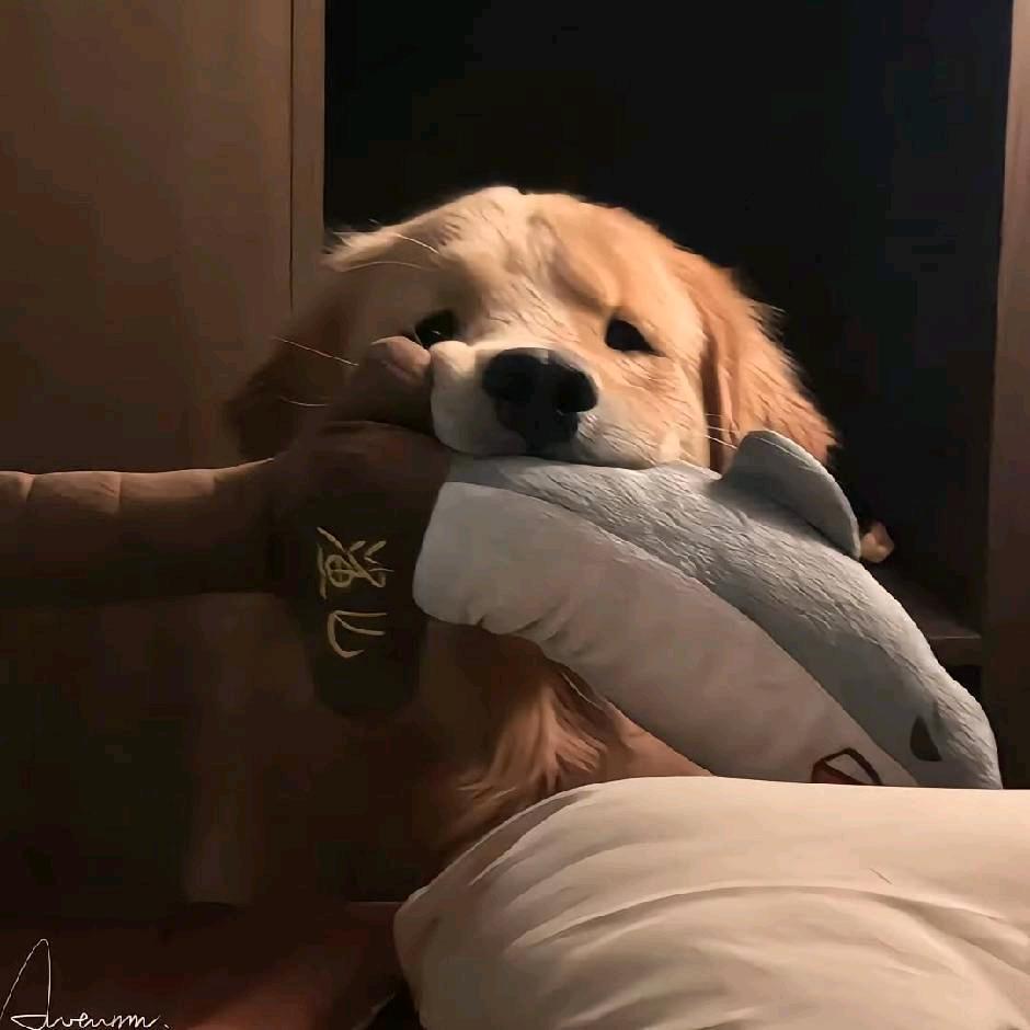 დ᭄慕杨人꧔℘⸙