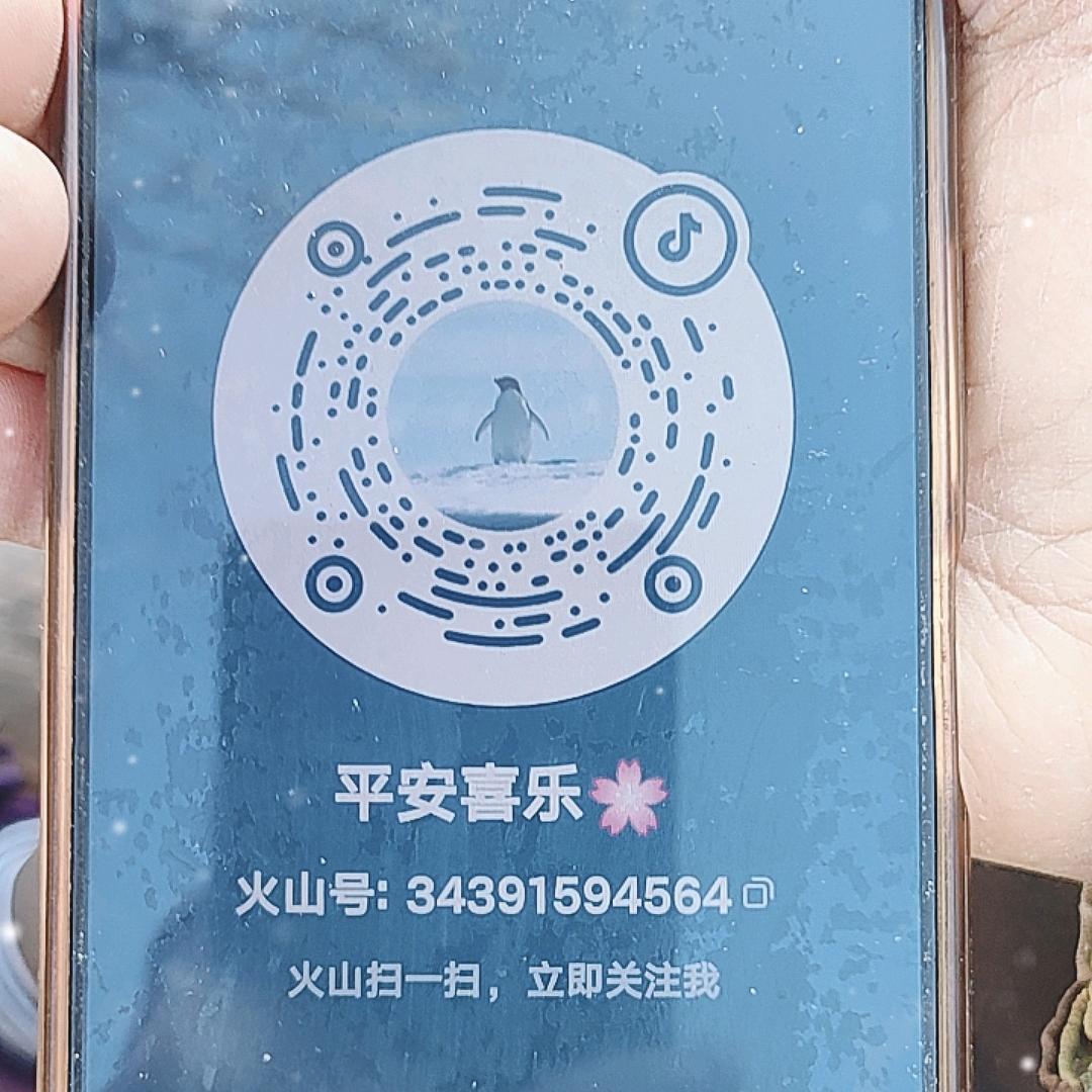 阳光下的彩虹