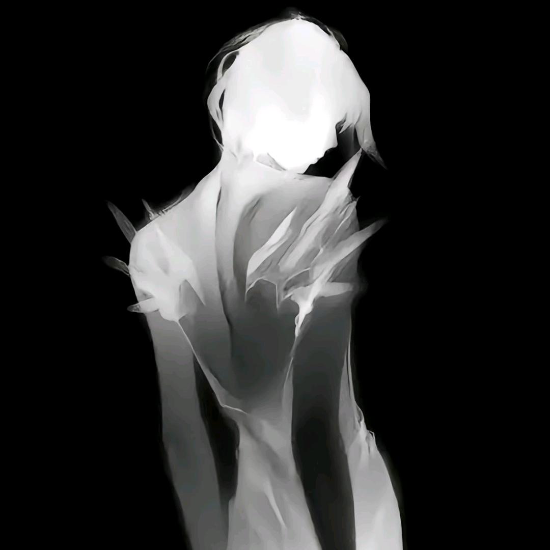桉柒