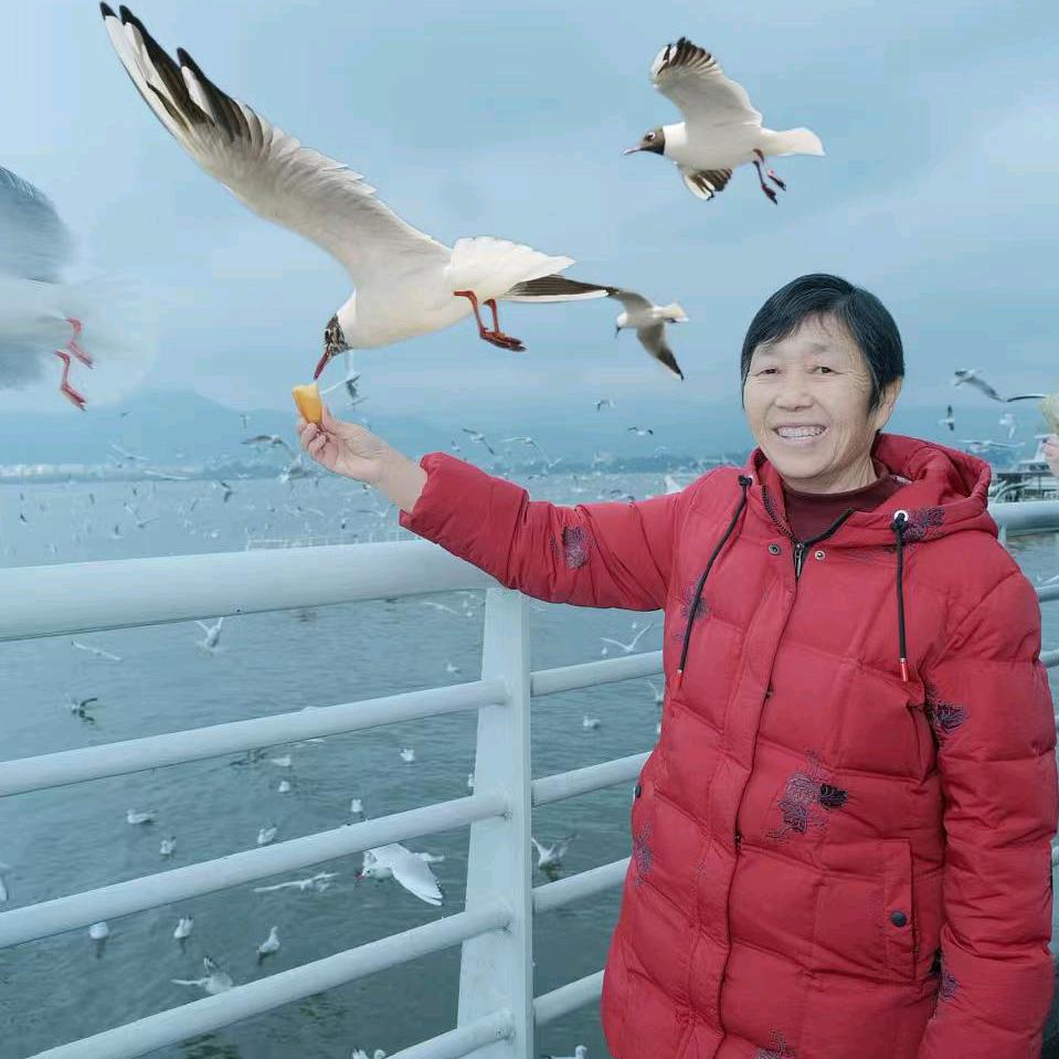 秀秀
