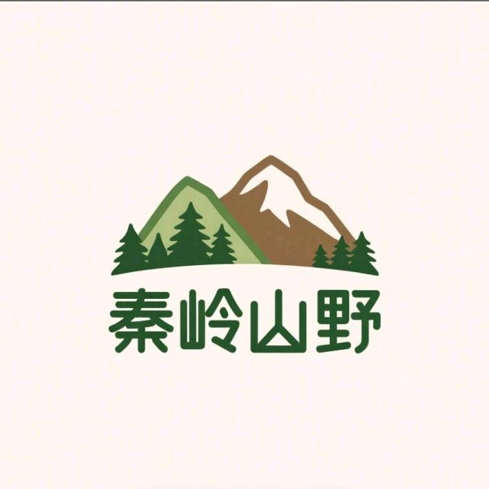秦岭山野特产店