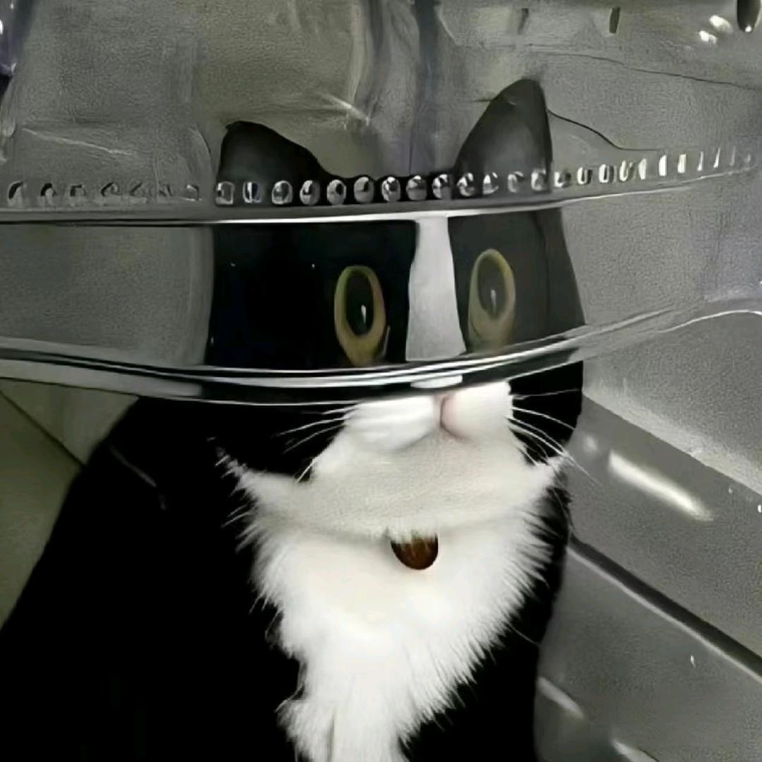 苏子墨