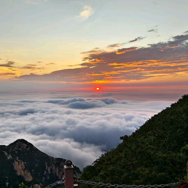 福慧双增