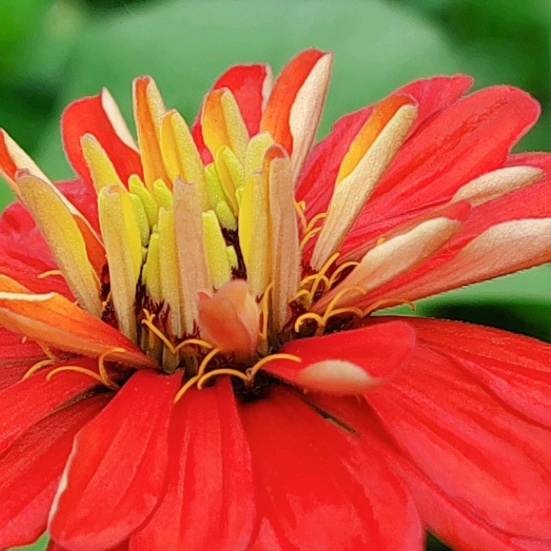 ★☆。.:*:･”ﾟ★βyёヾ(⌒∇⌒)