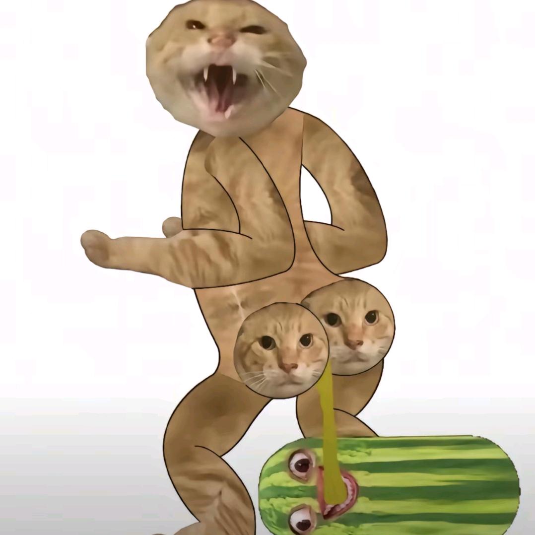 哈基草