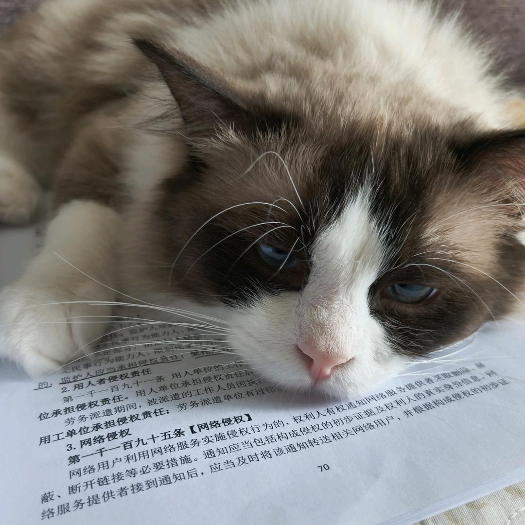 空窗期的高先生