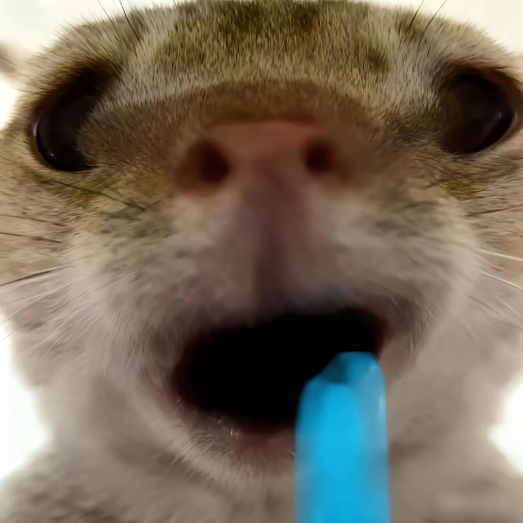 水枪装尿滋谁谁叫