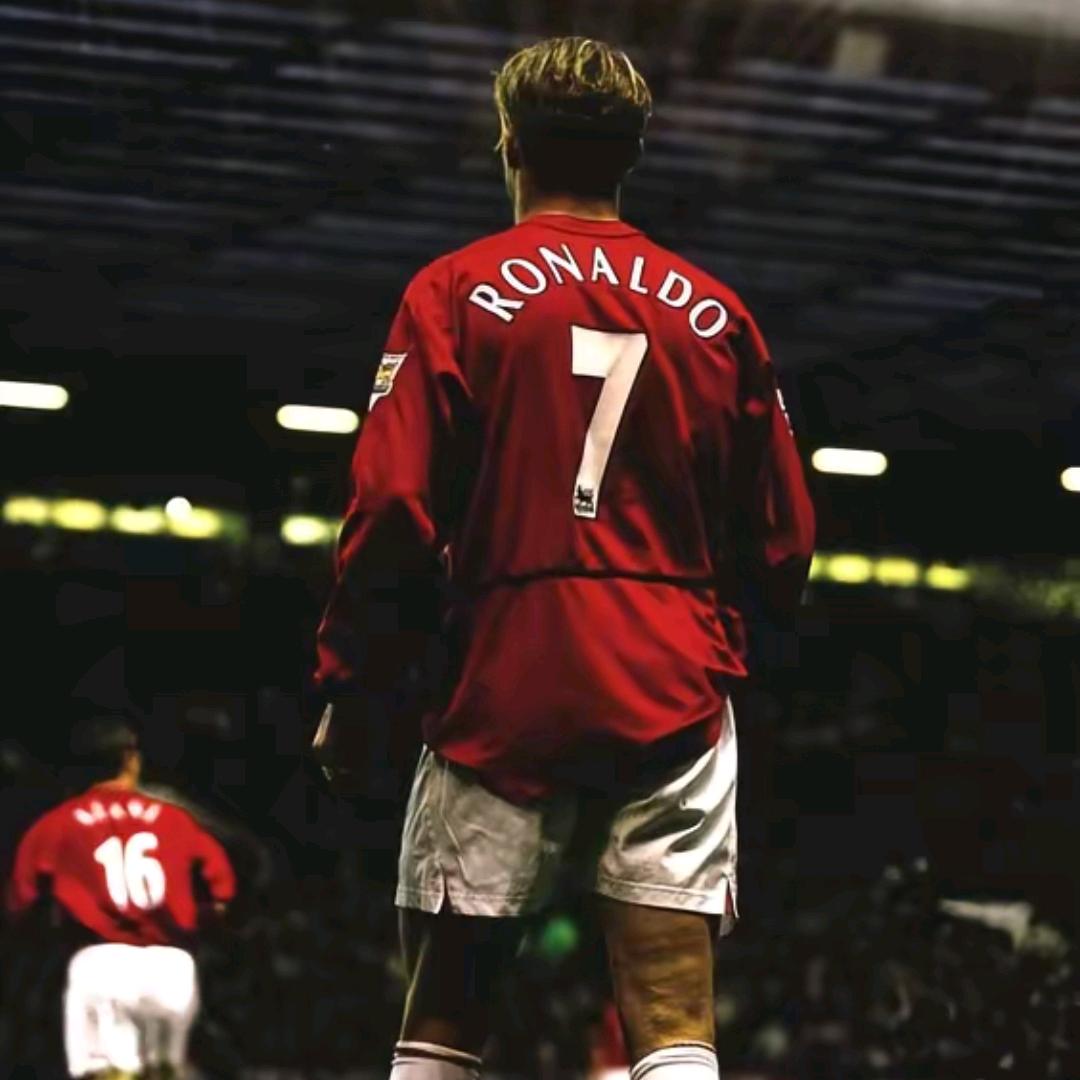 ⑦。。号 黑罗纳