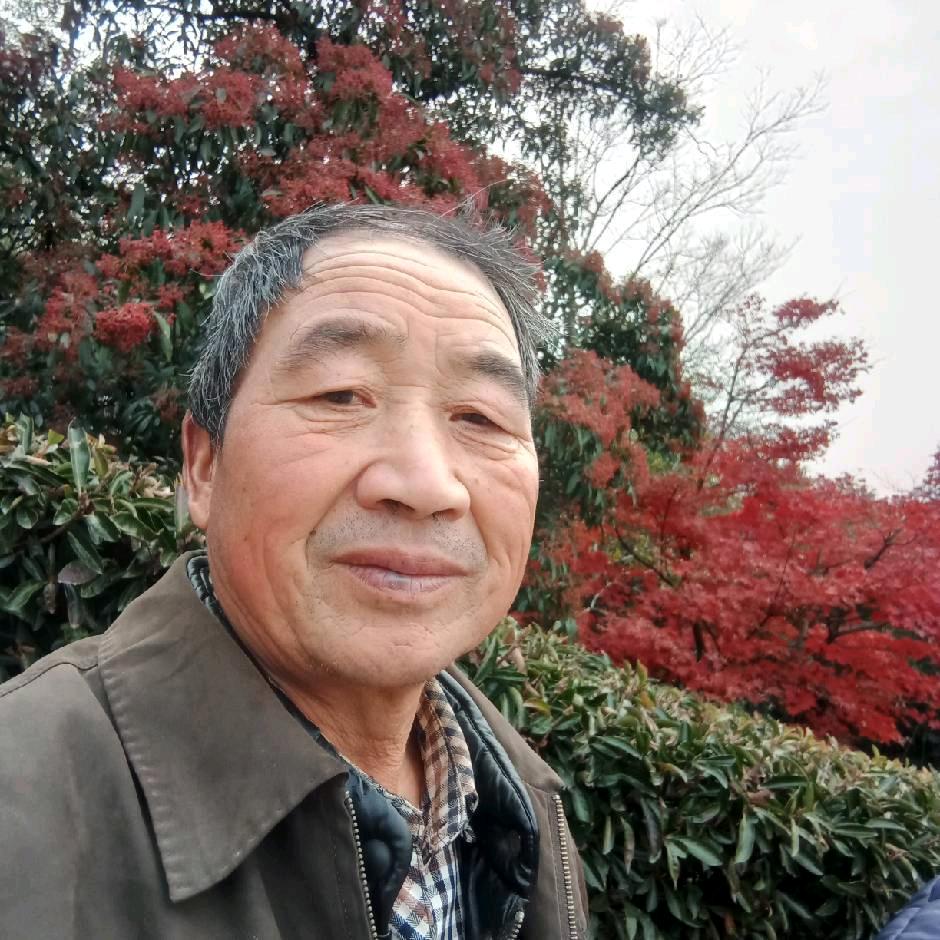 奋斗老头(每周五 周六晚上8:18直播)