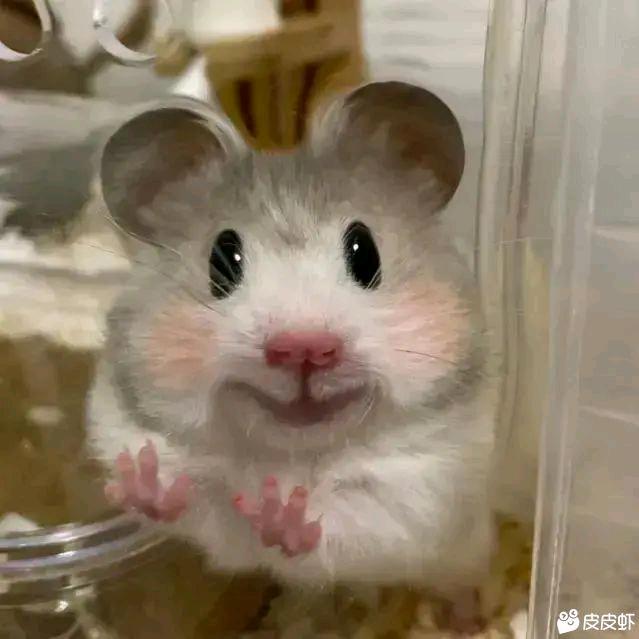 文泰来（奔雷手）