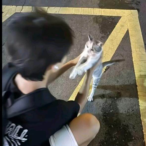 宏宏睡不醒💤