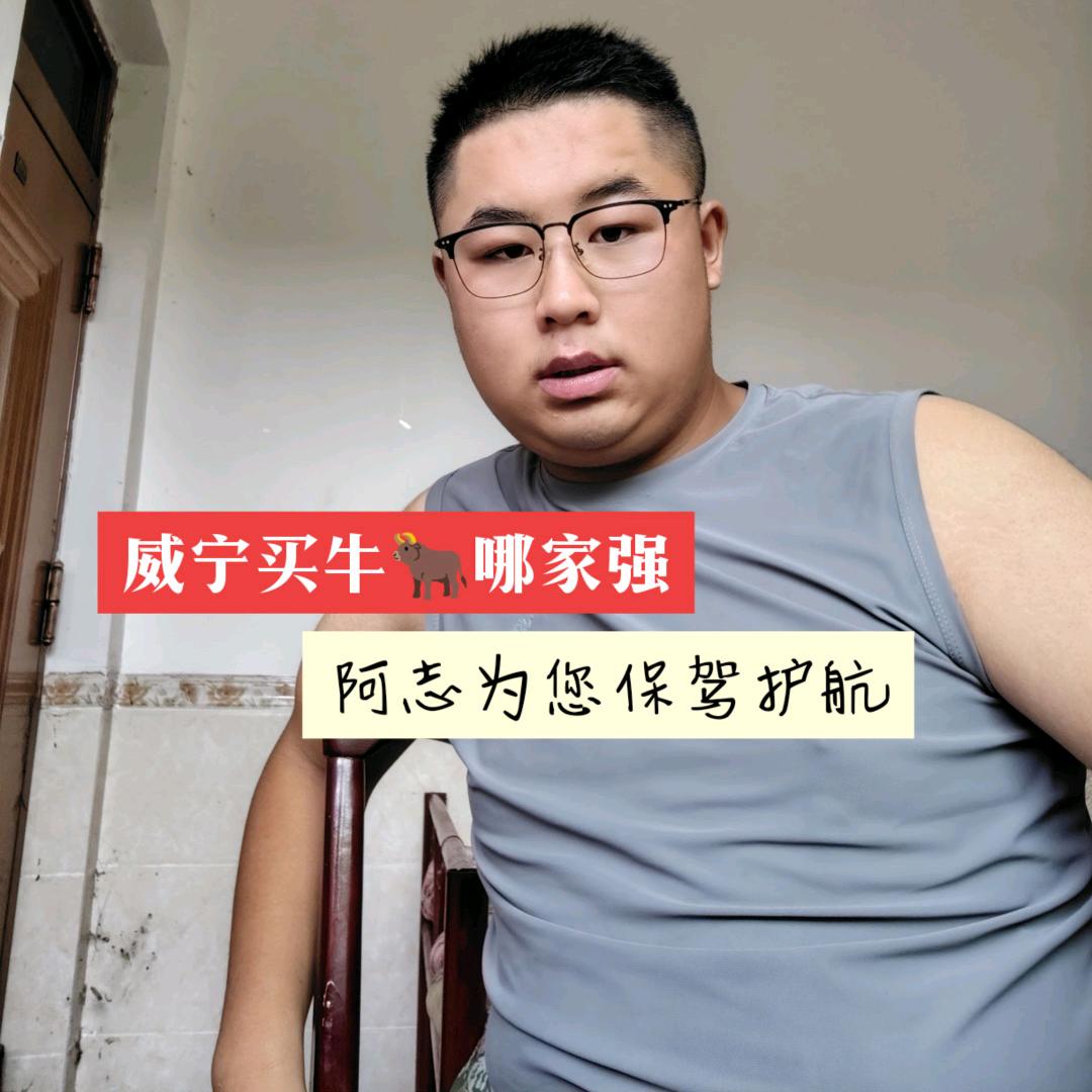 AAA贵州牛阿志