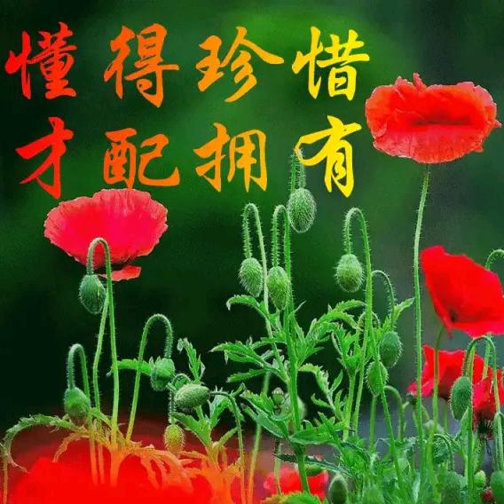 好人一生平安李