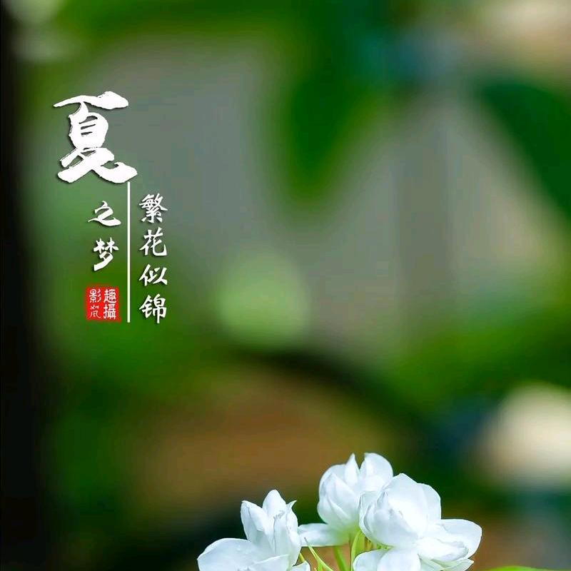 💕心有阳光ℒℴѵℯۣۖ¹³¹⁴