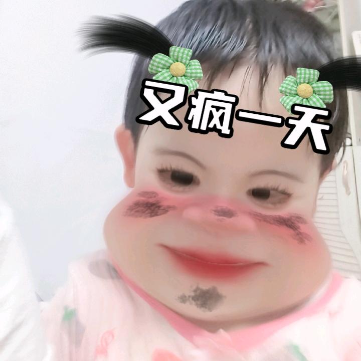 猫哆哩