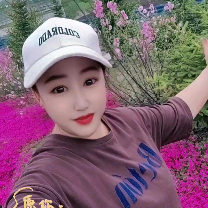 🍁*仅此而已*🍁