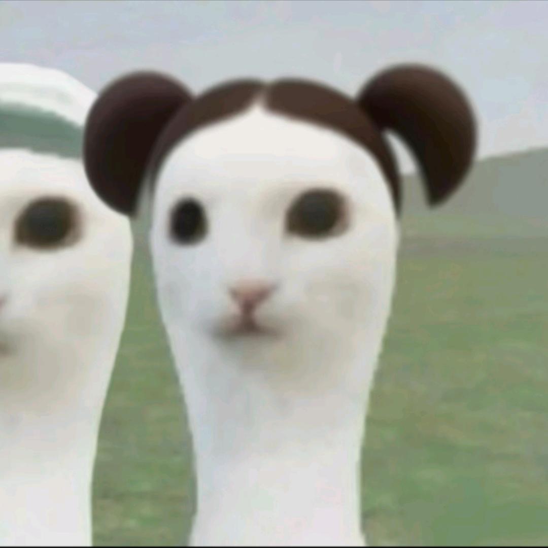wff