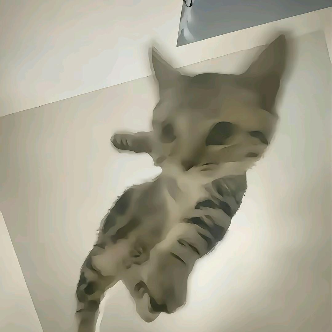 喜欢下雨天 ᥫᩣᵕ̈