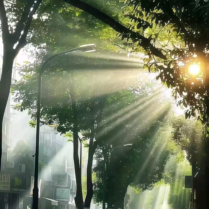 郭四哥