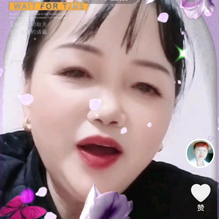 嗨喽