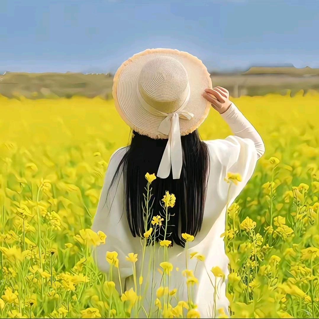 美羊羊.