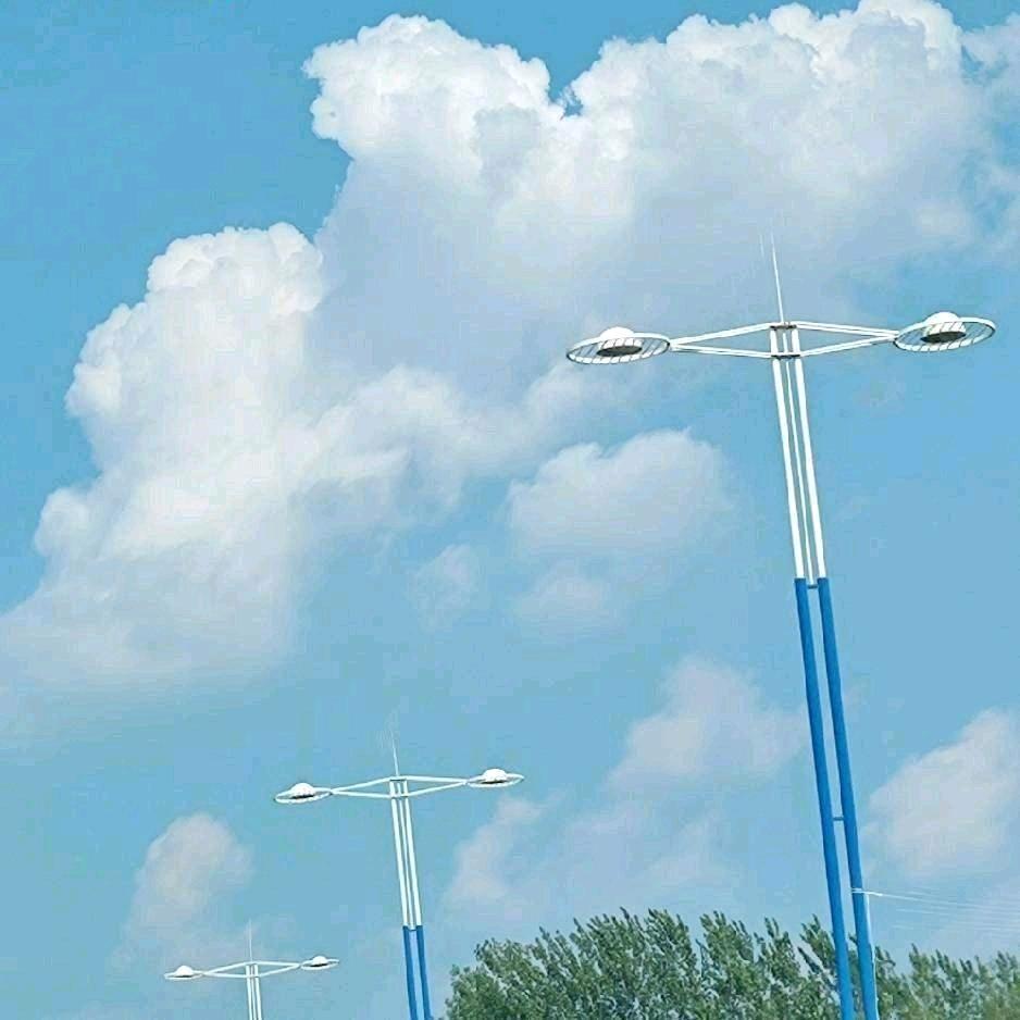 心向阳
