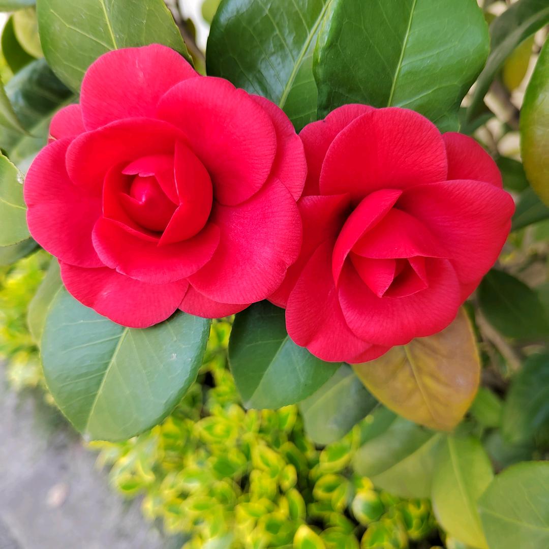 余生好好爱自己